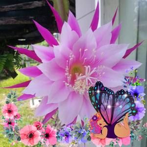 Meet your Posher, Ana